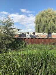 Image result for Ember Sports Club