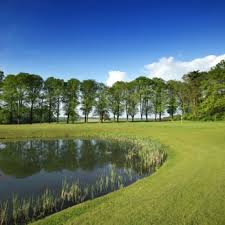 Image result for Aldwickbury Park Golf Club