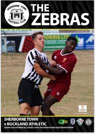 Image result for Sherborne Town Football Club