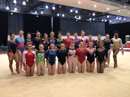 Image result for Appley Bridge Gymnastics Club