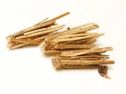 Attēlu rezultāti vaicājumam “Psyche casta”