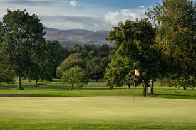 Image result for Brechin Golf Club