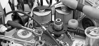 Risultati immagini per pedolesbo