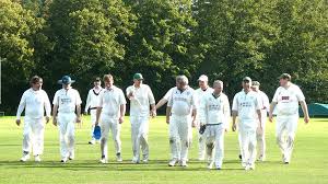 Image result for Waverley Cricket Club