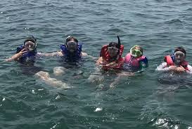Image result for Belfairs Dolphins Snorkelling Club