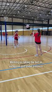Image result for Skillcentre Badminton Club