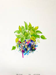 Image result for Crocked Pushers