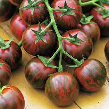 Bildergebnis für tomaten