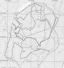 Attēlu rezultāti vaicājumam “Serpoleskea subtilis sporophyte”