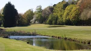 Image result for Downshire Golf Complex