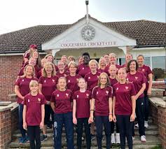 Image result for Halstead Colts Cricket Club