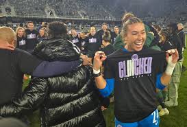 Image result for Fleur De Lys Football Club