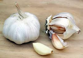 Attēlu rezultāti vaicājumam “Allium sativum fruit”