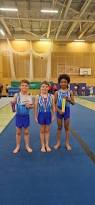 Image result for Pegasus Trampoline Club