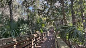 Image result for Thorn Park L T C