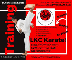Image result for Shitokai Karate Club