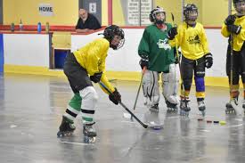 Image result for Halifax Roller Hockey Club