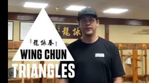 Image result for TRIANGLE CHANGQUAN FLYING DRAGON