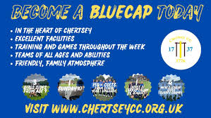 Image result for Chertsey Cricket Club