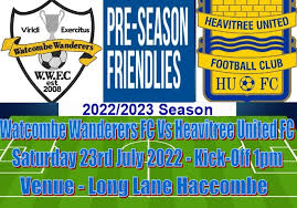 Image result for Buckland & Milber Football Club