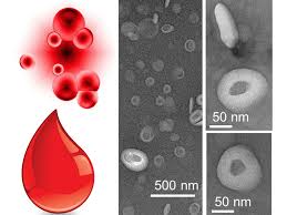 Image result for blood