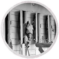 Image result for Carman Stables