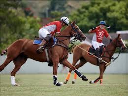 Image result for Toddington Tennis Club