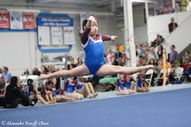 Image result for Farnham Gymnastics Club