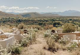 Image result for Hazel Grove