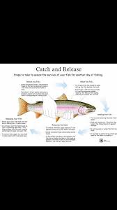 Image result for Annbank Angling Club