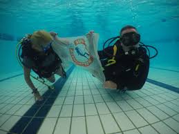 Image result for Ilkeston Swimming Club