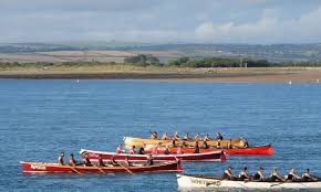 Image result for Appledore Pilot Gig Club