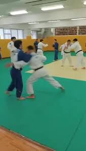 Image result for Bradley Stoke Judo Club