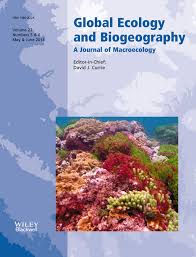 Attēlu rezultāti vaicājumam “Leiocolea heterocolpos”