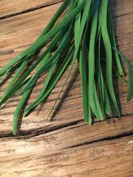 Image result for Schnittknoblauch