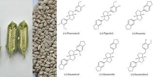 Attēlu rezultāti vaicājumam “Physarum luteolum sessile”