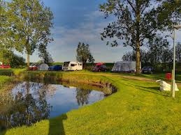 Image result for Reedham Park Sports Club