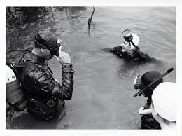 Image result for Hartlepool Divers Bsac Branch 0985