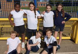 Image result for Chelmsford Netball Club