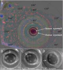 Image result for saturn south pole eye