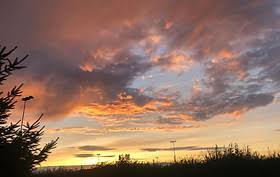 Image result for Wrecclesham Football Club