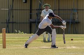 Image result for Bay Dragons CC