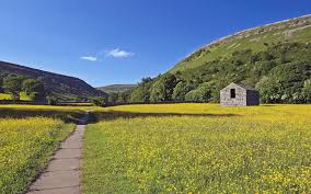 Image result for Swaledale Outdoor Club