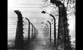 Image result for Chard Holocaust