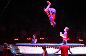 Image result for Ace of Clubs Trampolining