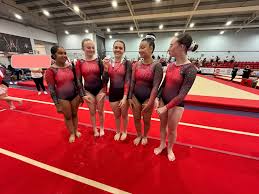 Image result for WALSALL GYMNASTICS CLUB