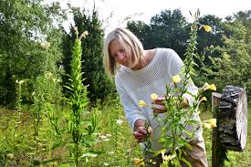 Image result for Heemtuin Rucphen