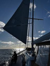 Image result for Legend Sailing