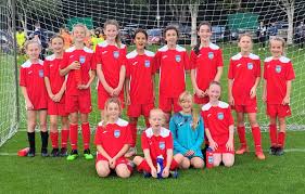 Image result for Walton & Hersham Football Club