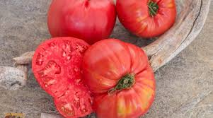 Afbeeldingsresultaat voor butter and bull heart tomato